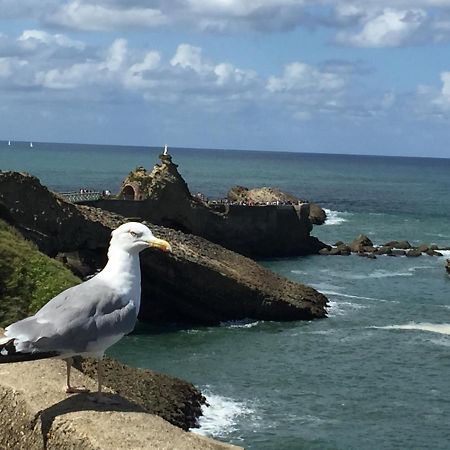 Charmant T2 Biarritz Centre Екстериор снимка
