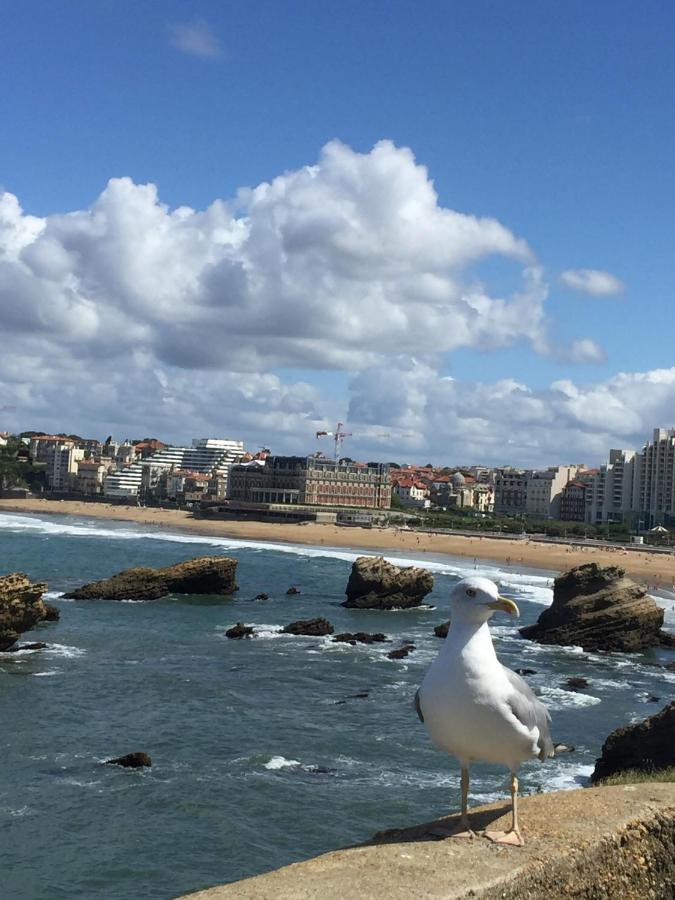 Charmant T2 Biarritz Centre Екстериор снимка